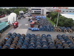 1.5mm SDI Single Core Double Insulated Electrical Wire 450/750V PVC/PVC (MÀU/MÀU)